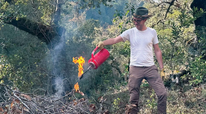 Prescribed burning near Healdsburg