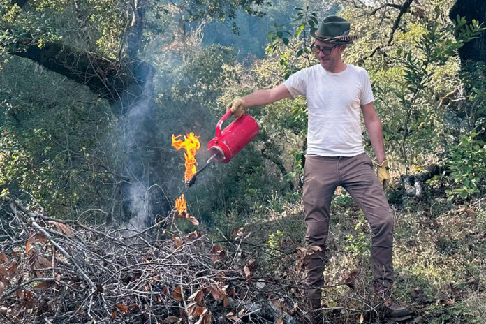 Prescribed burning near Healdsburg