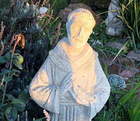 St. Francis statuary